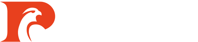 pinn-logo-reversed1