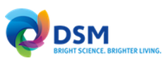 dsm logo 2 dsm logo 2