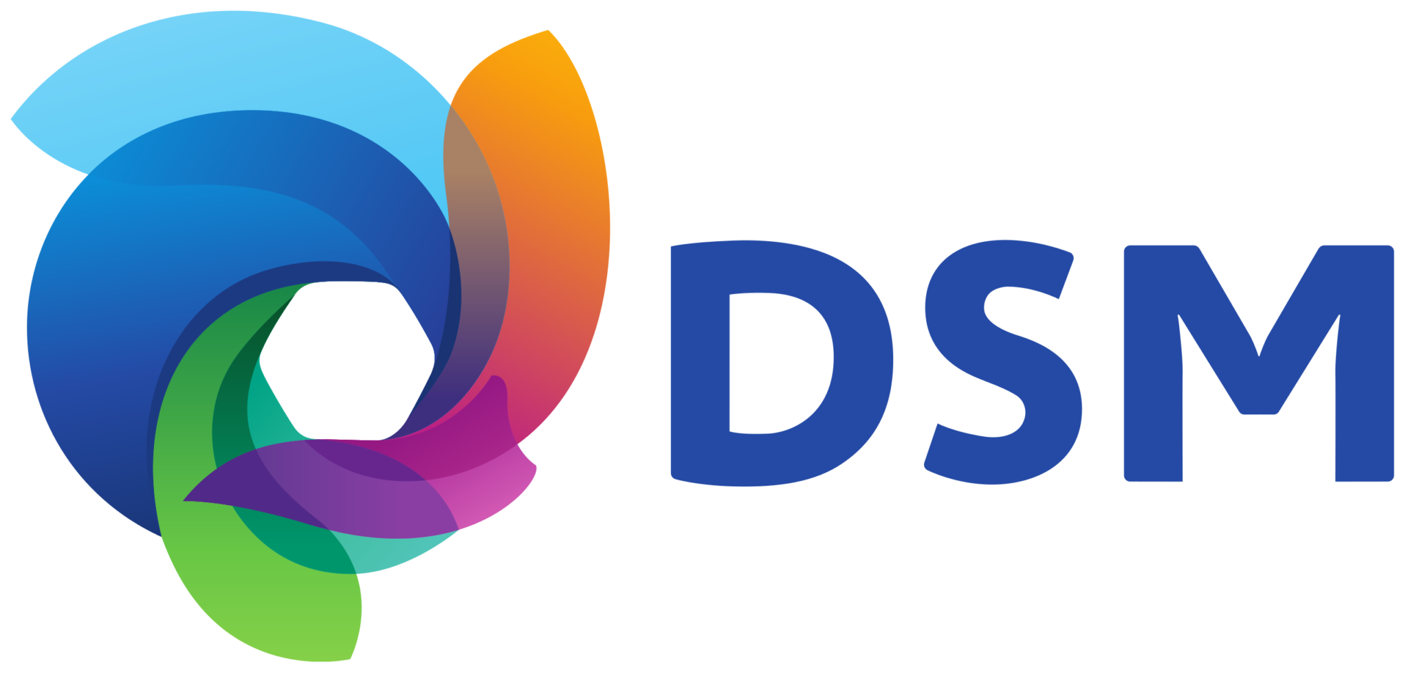 https://www.pinnaclesearch.com/wp-content/uploads/2022/03/Royal_DSM.svg_.png